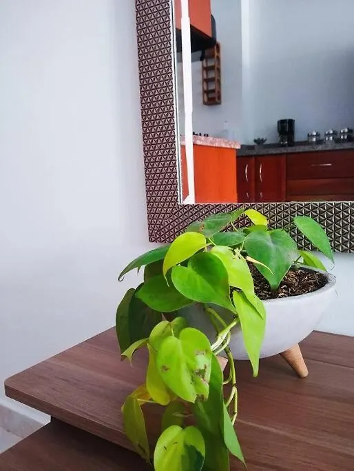 Crisalida Apartamento Sabaneta